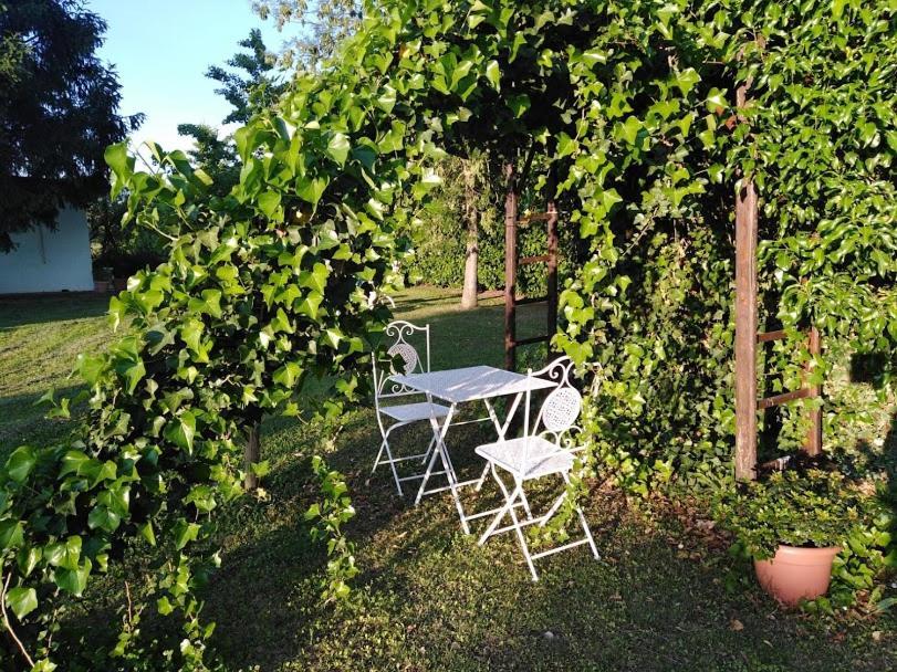 B&B Borgo Del Priolo - Petfriendly Чезена Экстерьер фото